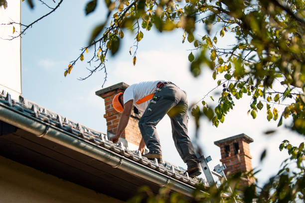 Best Steel Roofing  in Saxonburg, PA